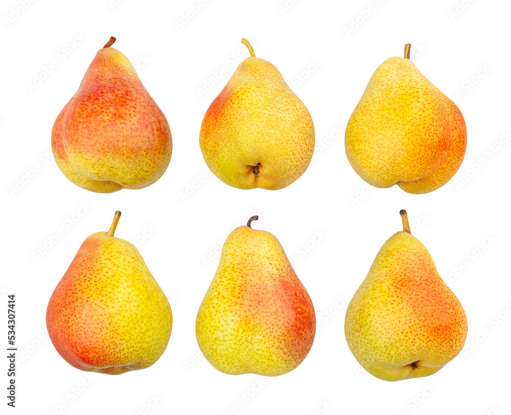 pear path isolated on white pear path isolated on white