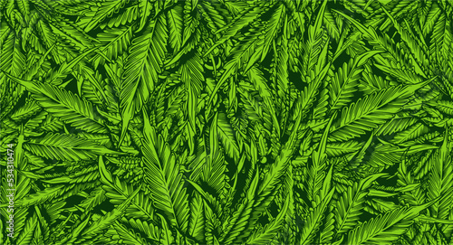 Green Leaf Cannabis marijuana ganja weed Background