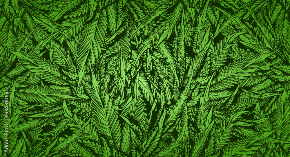 Green Leaf Cannabis marijuana ganja weed Background Green Leaf Cannabis marijuana ganja weed Background