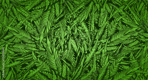 Green Leaf Cannabis marijuana ganja weed Background