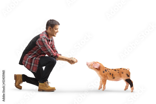 Male farmer feeding a small pig photo