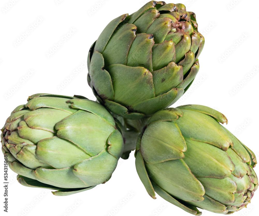 Obraz premium Fresh seasonal artichokes