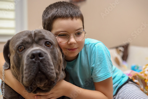 Boy with glasses hugging a Cane Corso dog on the bed