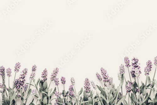 Flowers composition  frame made of lavender flowers on pastel background.