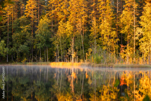 Autumn forest with reflection