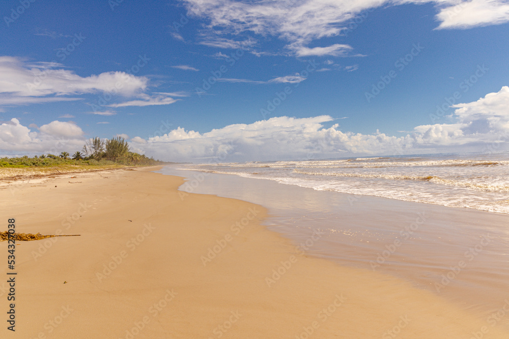 natural landscape in the city of Canavieiras, State of Bahia, Brazil natural landscape in the city of Canavieiras, State of Bahia, Brazil