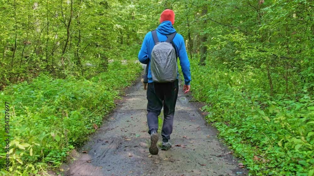 Hiking a gravel road in the woods. Guy wearing a blue backpack with his dog walking next to him. Hiking a gravel road in the woods. Guy wearing a blue backpack with his dog walking next to him.