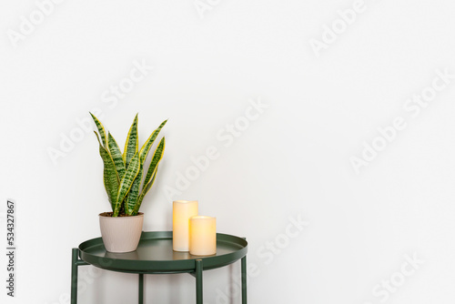 minimalistic scandinavian interior  house  apartment  green coffee table on white wall background  home plants  candles  sansivieria  comfort  decor  place for text  green corner  layout  trendy