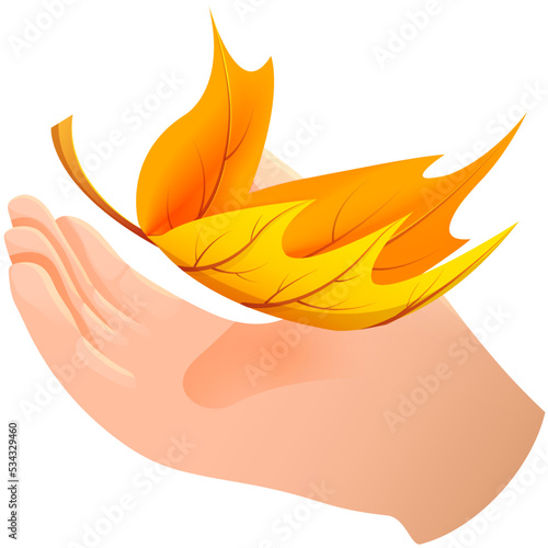 Obraz na plátne Hand holds autumn leaf vector illustration