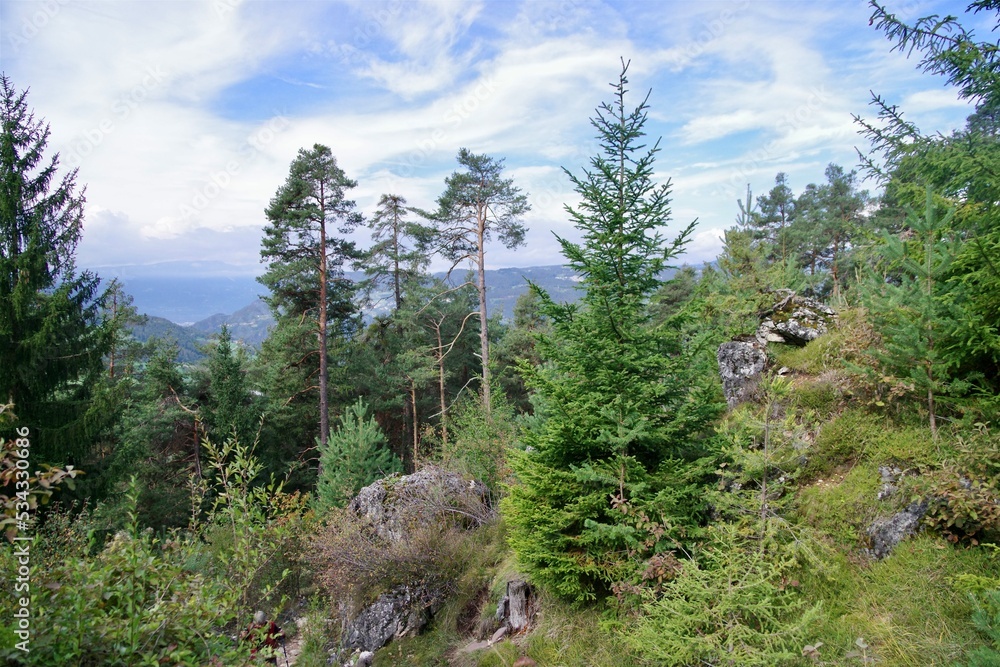Bergwald Völs am Schlern