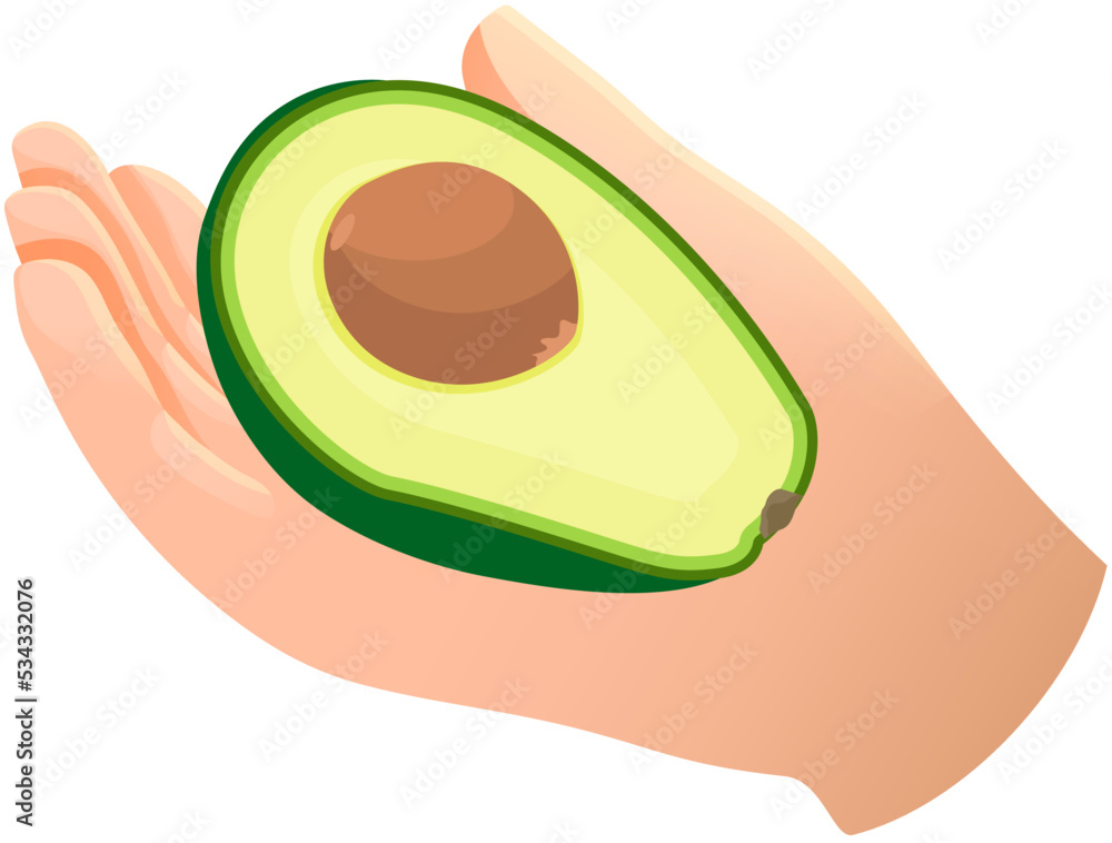 Caucasian hand holds avocado isolated background vector. Proper nutrition, vegan. Eco-product. Avocado in hand Stylish flat cartoon illustration with copy space for text, half of fresh fruit Caucasian hand holds avocado isolated background vector. Proper nutrition, vegan. Eco-product. Avocado in hand Stylish flat cartoon illustration with copy space for text, half of fresh fruit