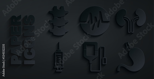 Set IV bag, Human kidneys, Syringe, stomach, Heart rate and spine icon. Vector