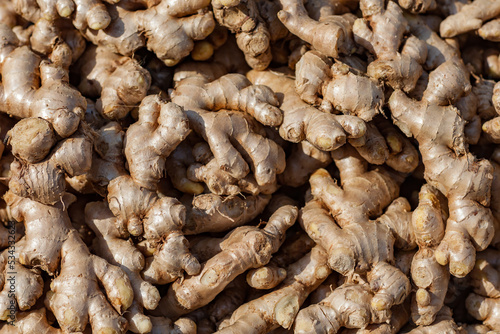 Ginger for sale at the Indian market, harmonious repetitive pattern