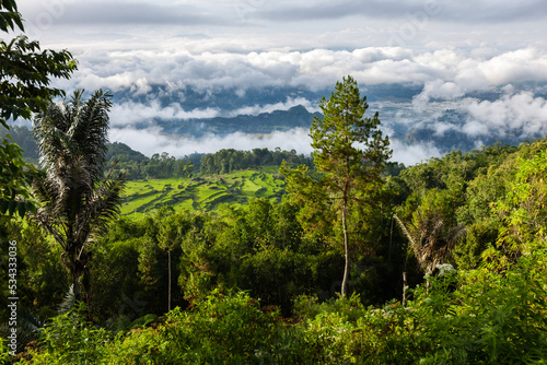 Sulawesi tropical landscape in Tana Toraja, jungle, rice paddies and distant clouds photo