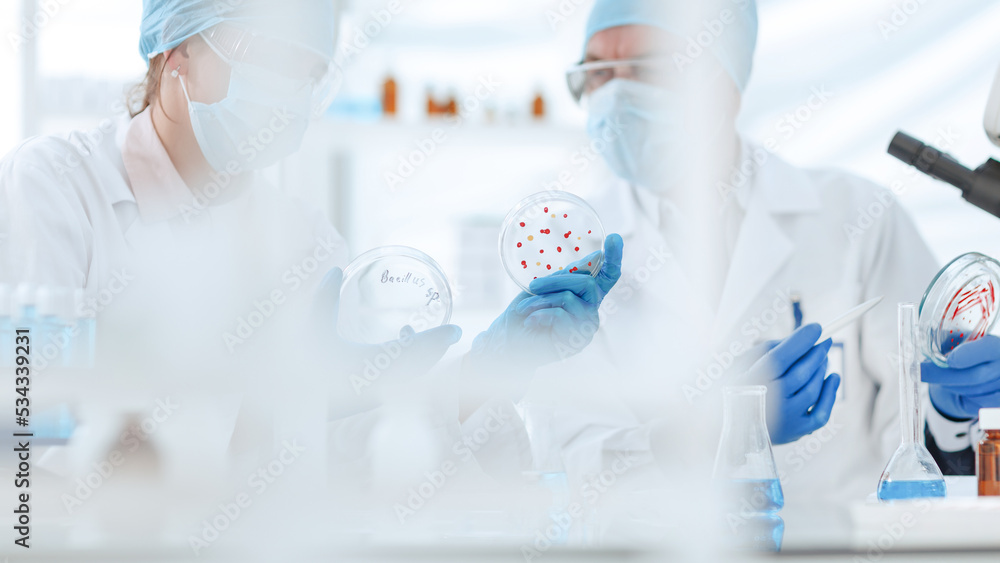 close up. microbiologists discussing the results of a scientific experiment. close up. microbiologists discussing the results of a scientific experiment.