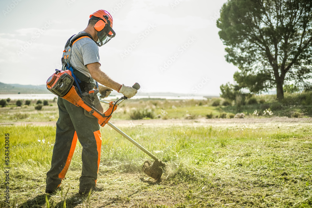 Φωτογραφία Backlit back view of a man removing grass with a trimmer