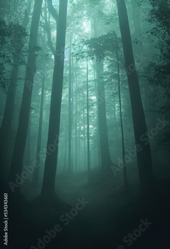 Gloomy, spooky, foggy dark forest landscape. Mysterious horror forest background. 3D illustration.
