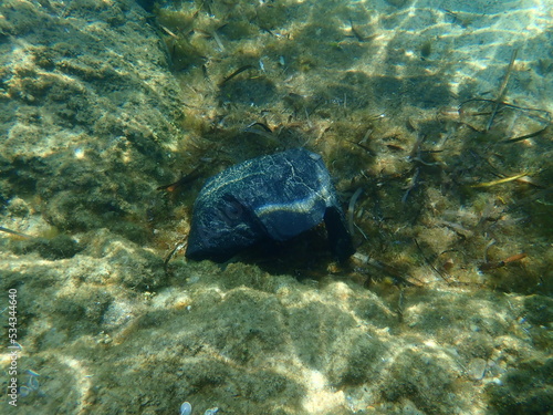 Plastic garbage underwater, Aegean Sea, Greece, Halkidiki. Sea pollution. 