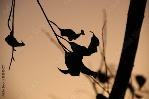 Por do Sol