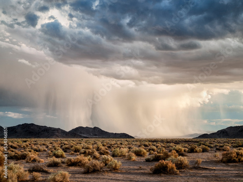 Obraz na plátně USA, California, Mojave National Preserve, Baker