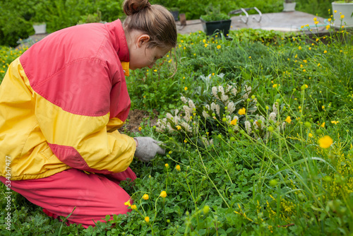 a woman works in the garden tending flowers © Lina Solntseva 