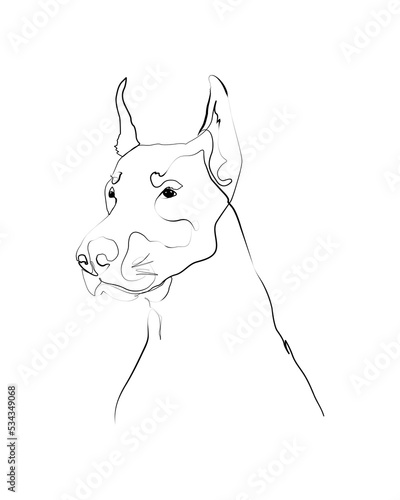 Doberman line art portrait, Digital drawing, Personalized Dog Name, Customized Pet Memorial Gifts