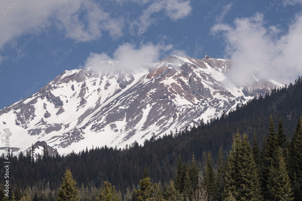 USA, California. Mt. Shasta and forest landscape.