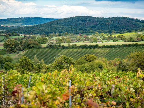 Weinberge im Herbst