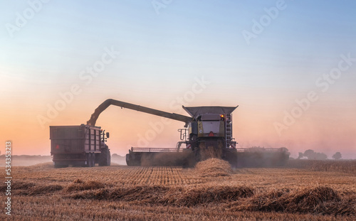 Sunset during harvesting season works: Combine harvester discharging hoarded wheat grain into trailer mounted to the tractor
