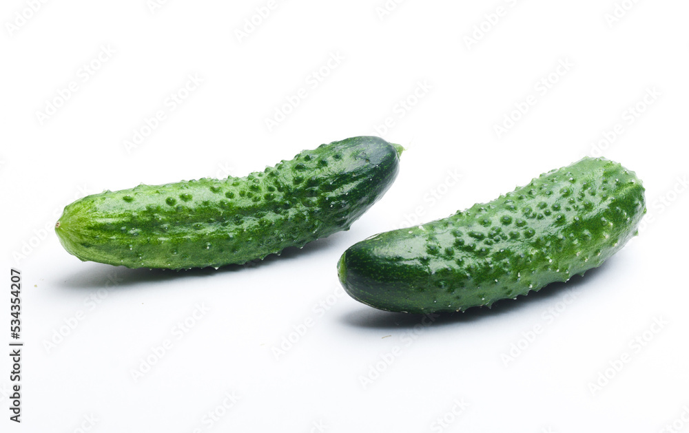 cucumber on a white background cucumber on a white background