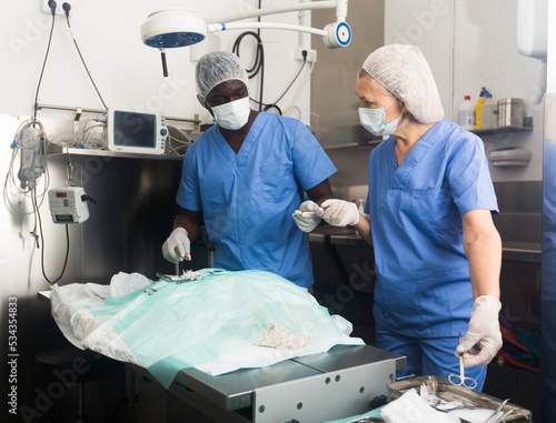 Veterinarian surgeons in operating room at animal hospital