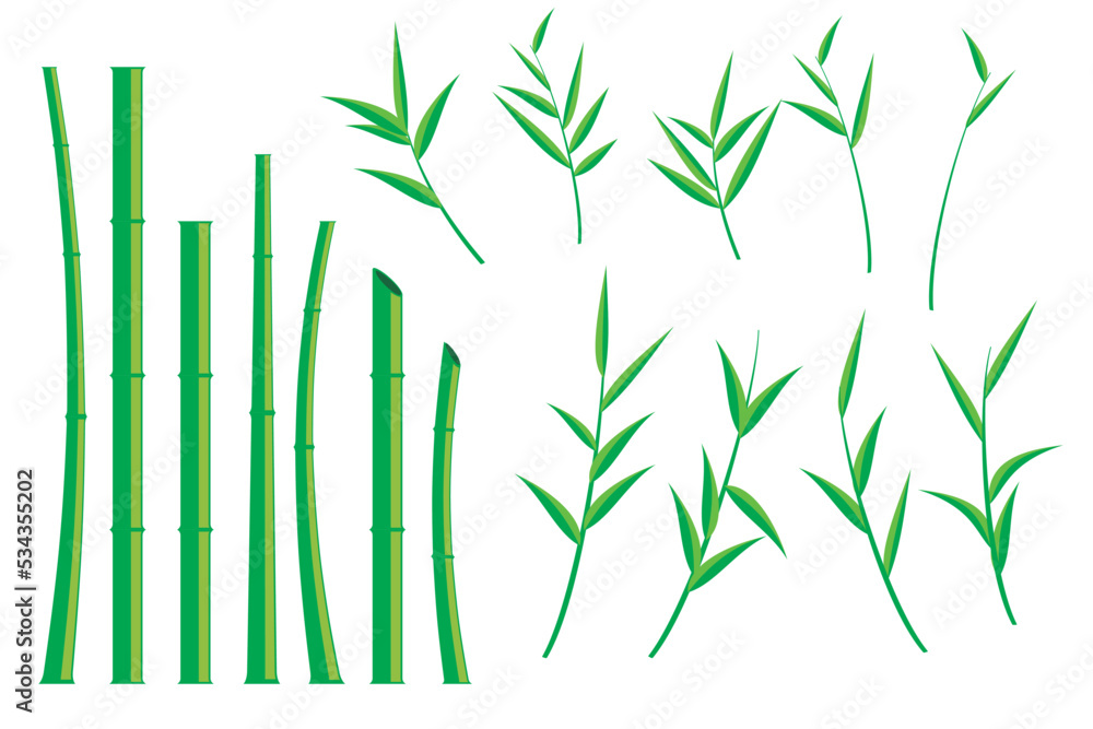 Vector bamboo tree. Illustration of a bamboo tree on a white background. isolated bamboo tree Vector bamboo tree. Illustration of a bamboo tree on a white background. isolated bamboo tree