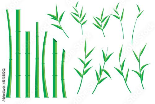 Vector bamboo tree. Illustration of a bamboo tree on a white background. isolated bamboo tree