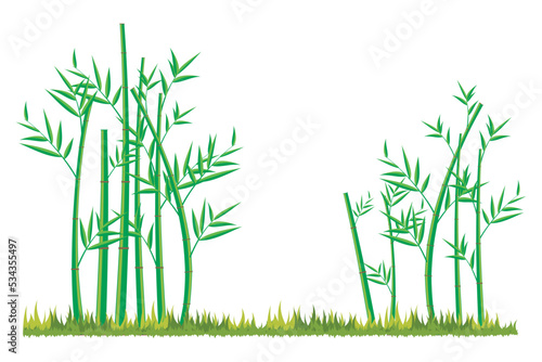 Vector bamboo tree. Illustration of a bamboo tree on a white background. isolated bamboo tree