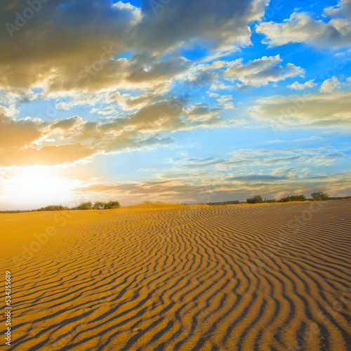 sandy prairie at the dramatic sunset  summer natural landscape