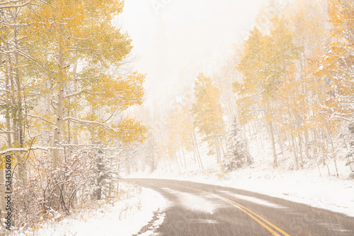 USA, Colorado, Uncompahgre National Forest. Autumn snowstorm on aspen forest and road. photo