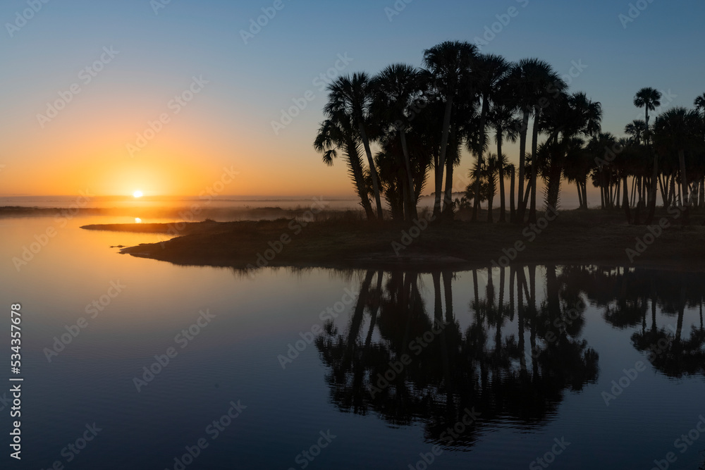 Sable palms silhouetted at sunrise on the Econlockhatchee River, a blackwater tributary of the St. Johns River, near Orlando, Florida