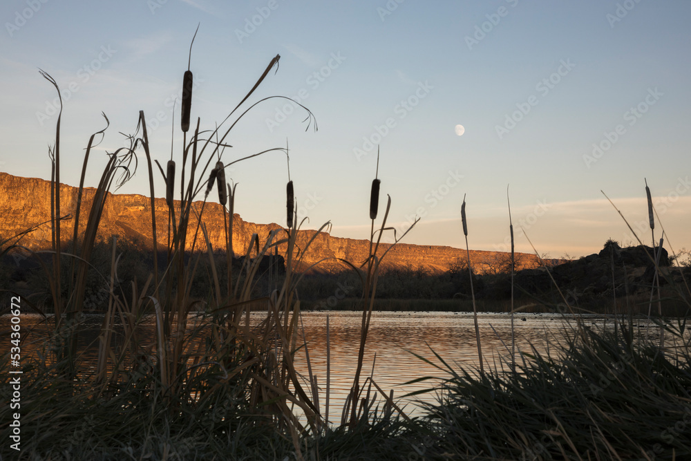 Wetland pond, rising moon