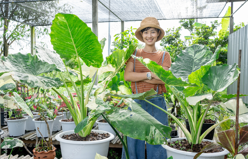 Portrait of smiling young botanist holding a fresh plant. Young asian woman standing side tree in pot in gardening center. Successful botanist and store owner thinking while standing with a pot plant. Portrait of smiling young botanist holding a fresh plant. Young asian woman standing side tree in pot in gardening center. Successful botanist and store owner thinking while standing with a pot plant.