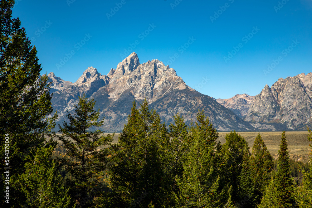 Fototapeta premium Grand Tetons