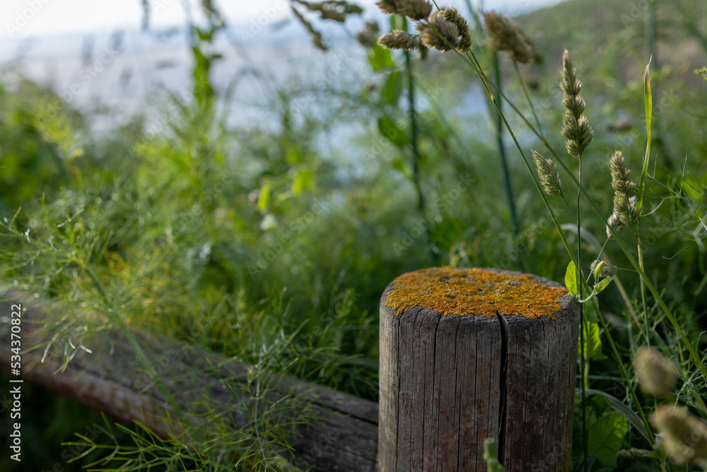 Wooden village fence round close-up around green grass Wooden village fence round close-up around green grass