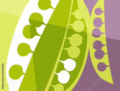 Abstract vegetable design in flat cut out style. Green peas in a pod silhouette and cross section. Vector illustration.