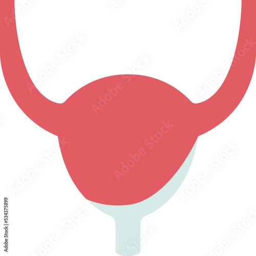 Bladder icon