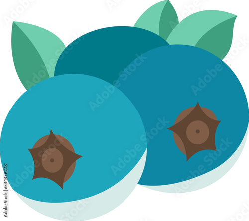 Blueberry icon