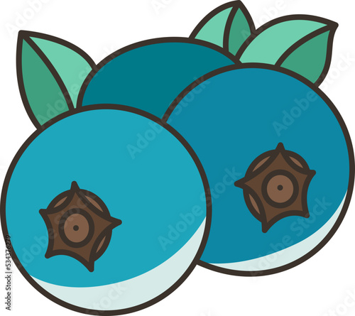 Blueberry icon