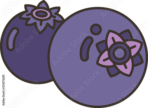 blueberry icon