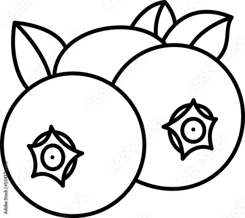 Blueberry icon