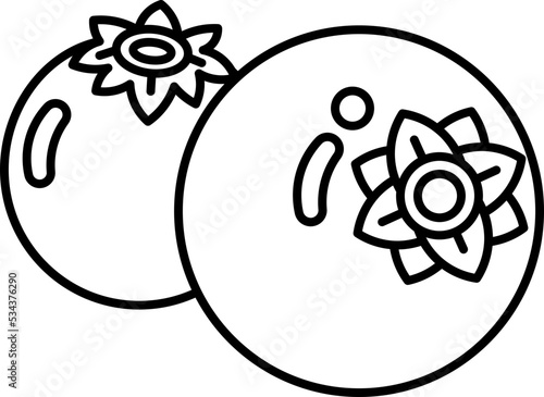 blueberry icon