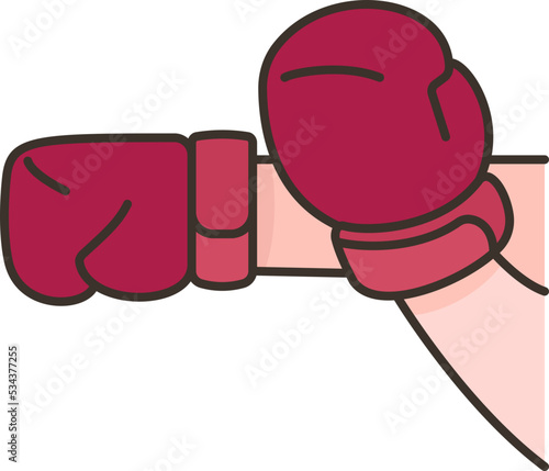 boxing icon
