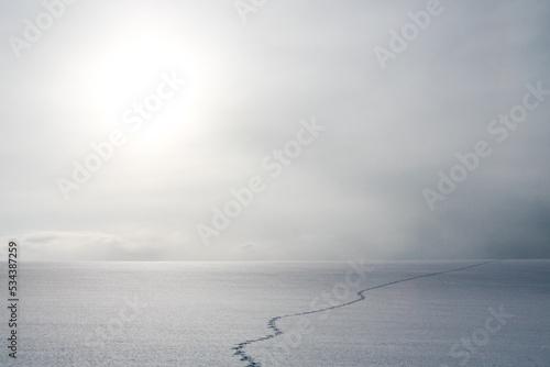 雪原と野生動物の足跡  © まり子 佐藤